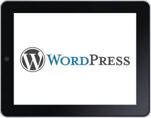 WordPress auto updates