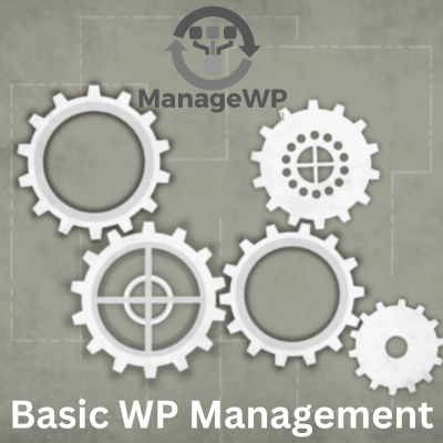 Copy of Basic WP Management